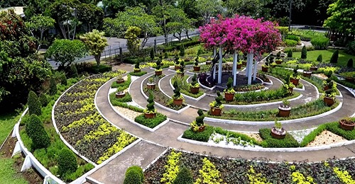 Urban Gardening